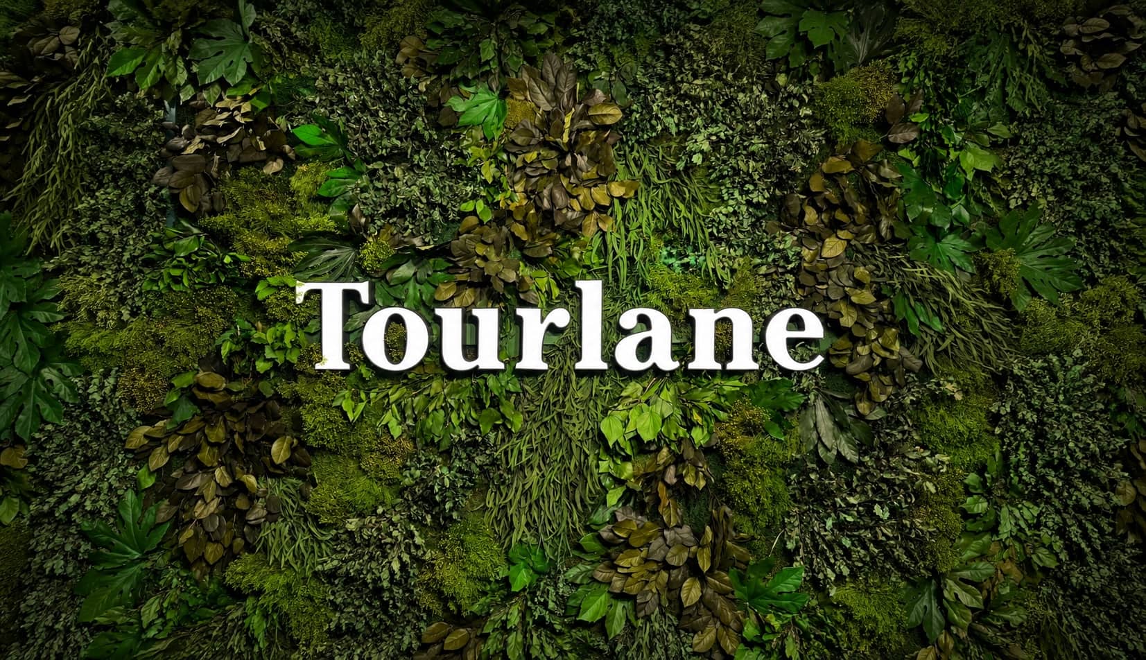 Tourlane office